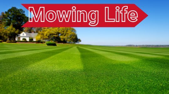 Blog image for How to Measure Lawn Mower Blades